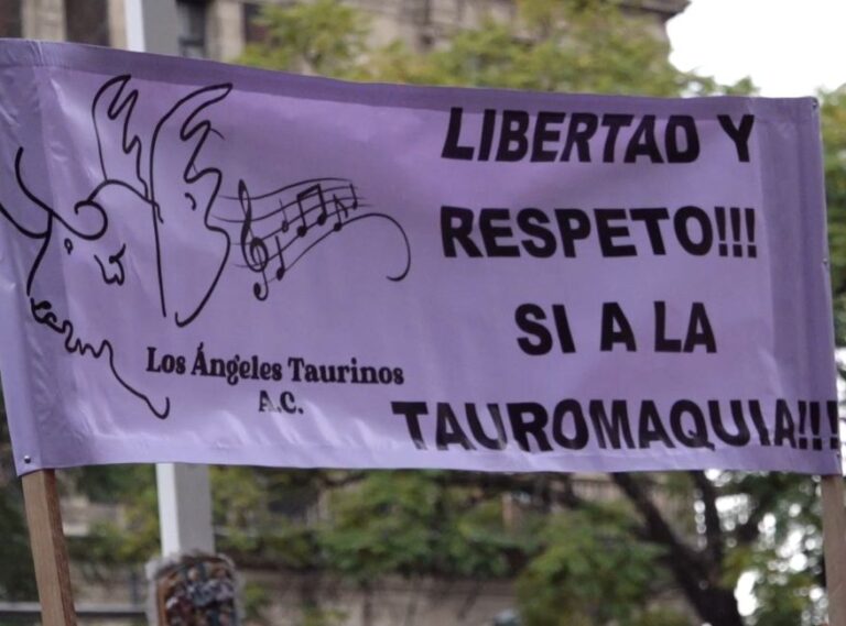 La Fondation Ángeles Taurinos, les toreros José María Garzón…, présents à la décision historique de la Cour Suprême de Justice du Mexique