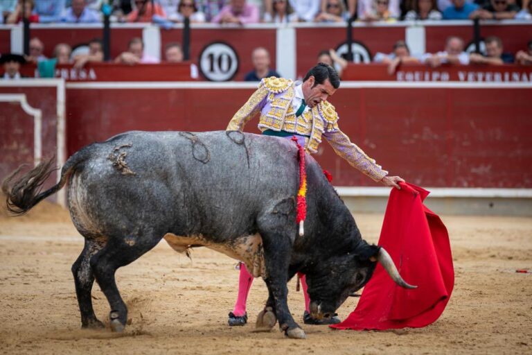 Conradi : « Nîmes et Albacete ont été la cerise sur le gâteau d&rsquo;une bonne saison »
