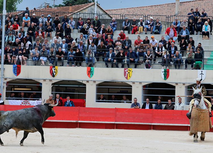 Alés officiels les affiches de sa foire d'Ascension 2025