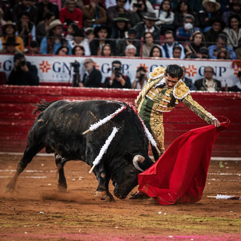 Joselito Adame, dans le triomphe de la liberté