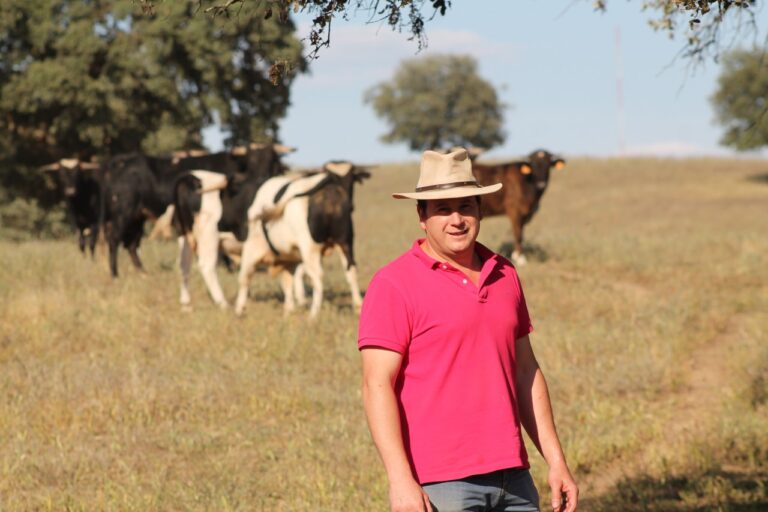 Francisco Blázquez, éleveur de Caña Hermosa : « Le rafraîchissement a été fait à cause du problème des chevaux, à cause de leur dynamisme et de leur cupidité »