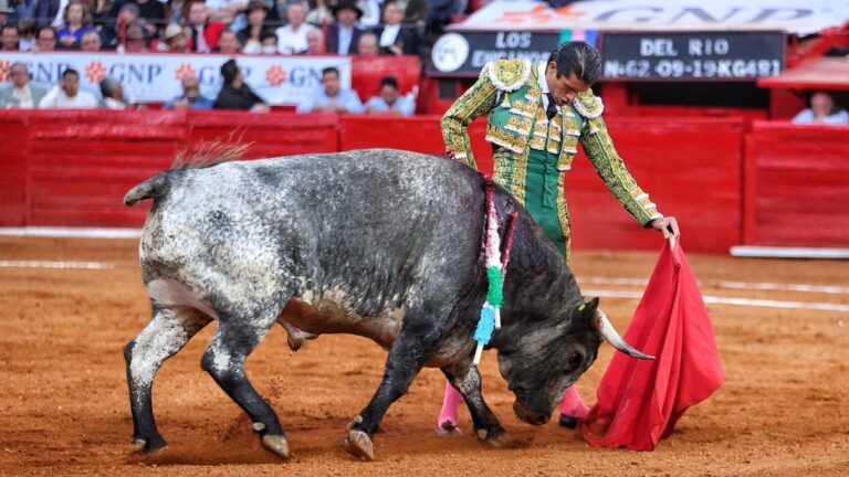 Calita : une tauromachie basse sans Puerta Grande pour l&rsquo;acier