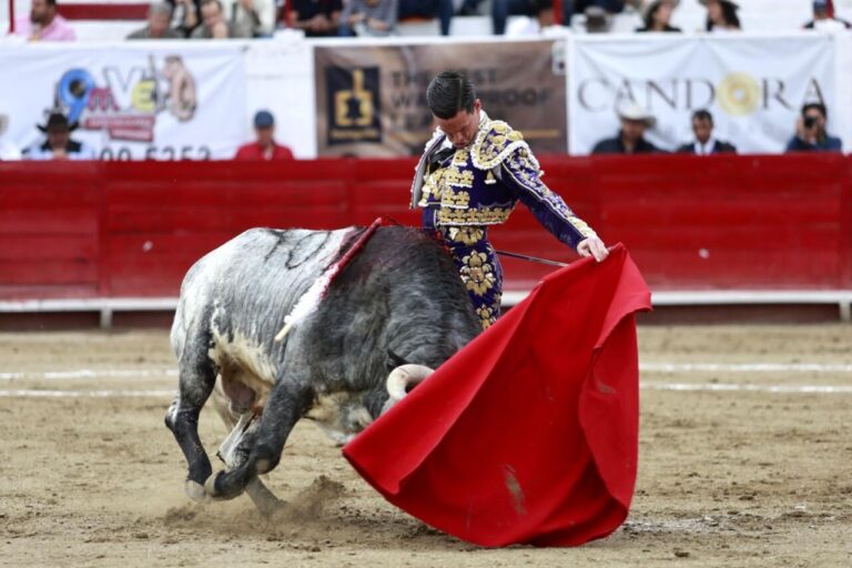 David Galván, passion débordante à León