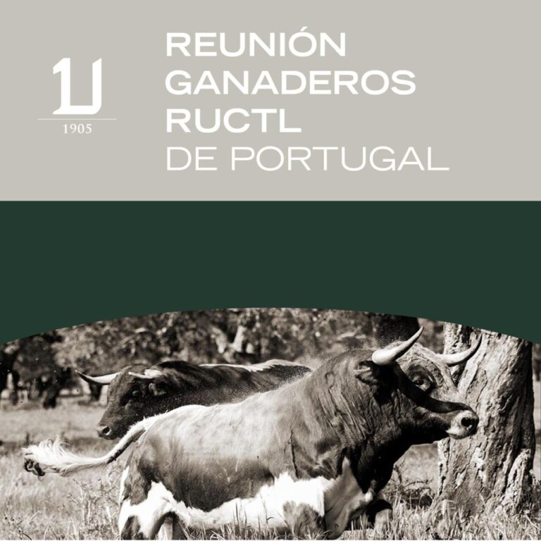 L&rsquo;Union Royale des Éleveurs de Taureaux de Combat se réunira ce samedi avec les éleveurs associés du Portugal