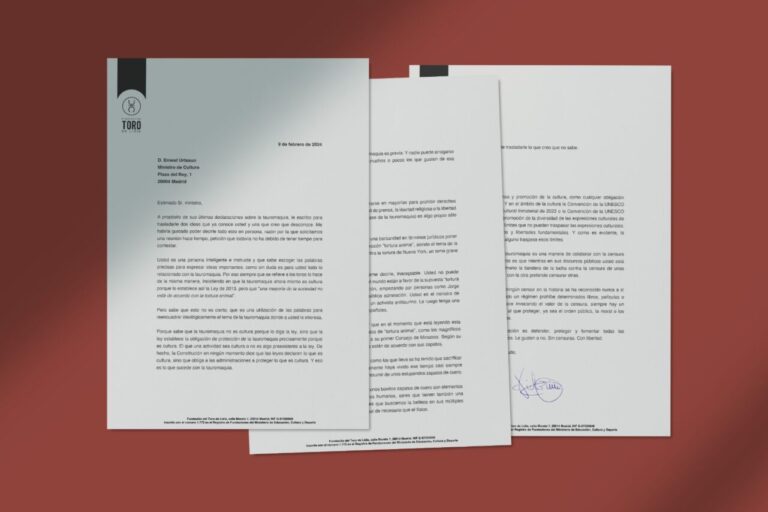 La Fondation Lidia Bull adresse une lettre ouverte au Ministre de la Culture