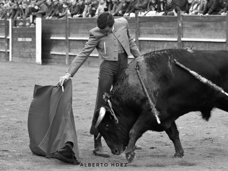 Le début de la saison Ortega, l&rsquo;une des attractions du festival Écija