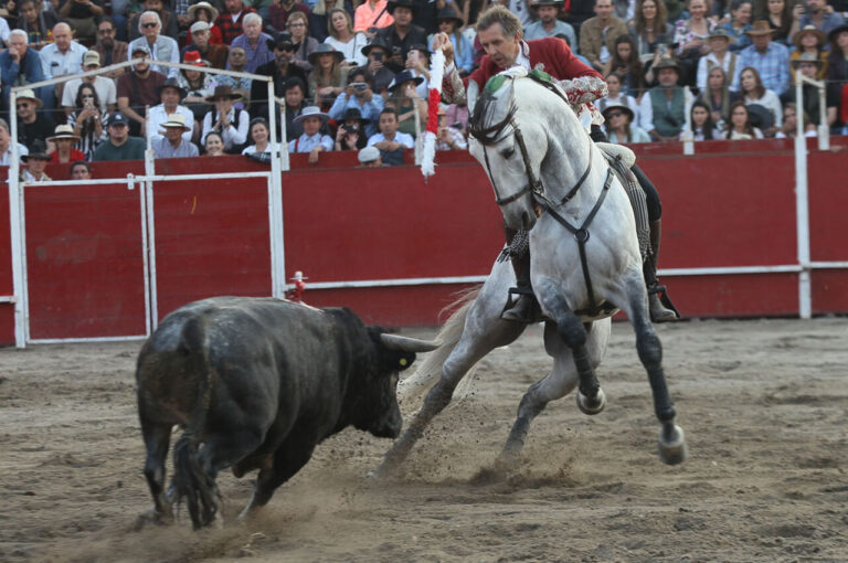 Le phénomène Pablo Hermoso |  mundotoro.com