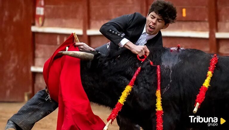 Le torero Julio Méndez, « Encorné dans le Triangle Scarpa », et victoire en finale de la Tauromachie Bolsín de Ciudad Rodrigo