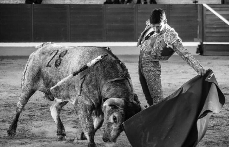 Fran Fernando: « Réussir à Castellón pourrait m'ouvrir les portes d'autres places importantes »