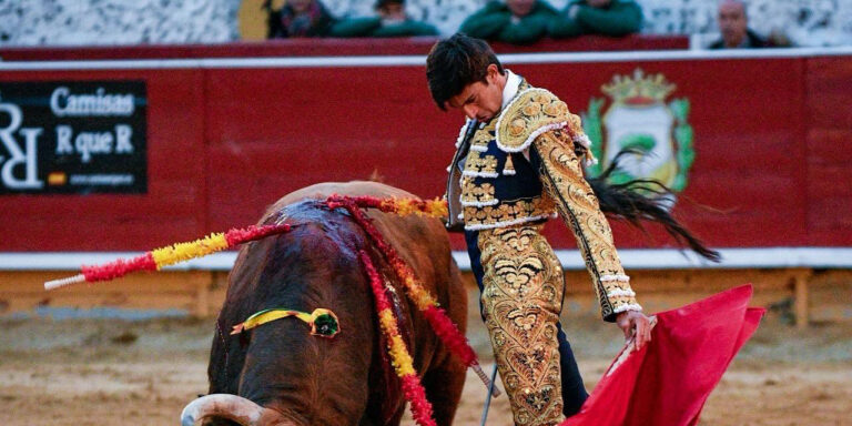 Alejandro Fermín : « Ce qui m'arrive à Madrid est le rêve de tout torero.  J'ai travaillé et sacrifié beaucoup pour que ce jour devienne réalité.