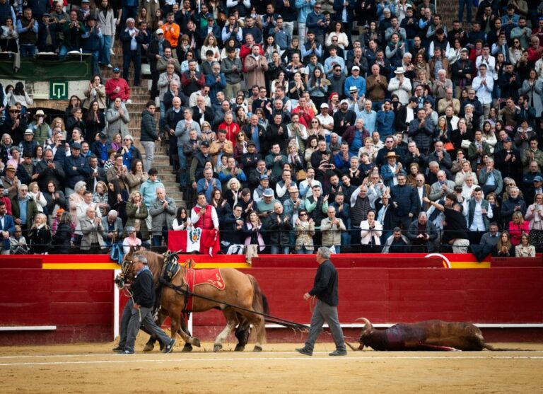 Borja Domecq : « Restreindre ce type d'explosions spontanées comme celle que nous avons vécue dimanche avec Leguleyo n'est pas bon pour la fête »
