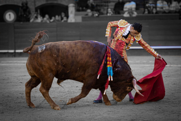 Paco Ureña, après son passage à Fallas: « Cela a été le travail de ma vie jusqu'à maintenant »