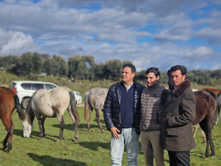 Alberto García et Rafael Peralta, tandem pour succéder à Sergio Pérez