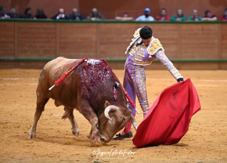 Arnedo : écoutez la passion et l'intelligence de Talavante