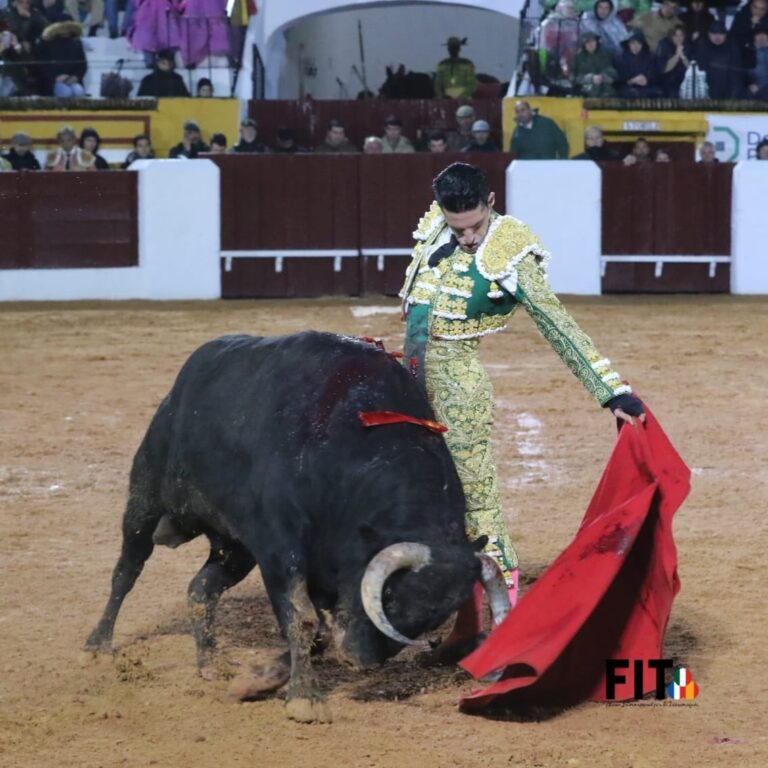 C'est ainsi que nous vous avons parlé de la deuxième de la Foire d'Olivenza (En ligne)