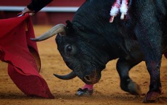 Castilla y León va révolutionner le pardon