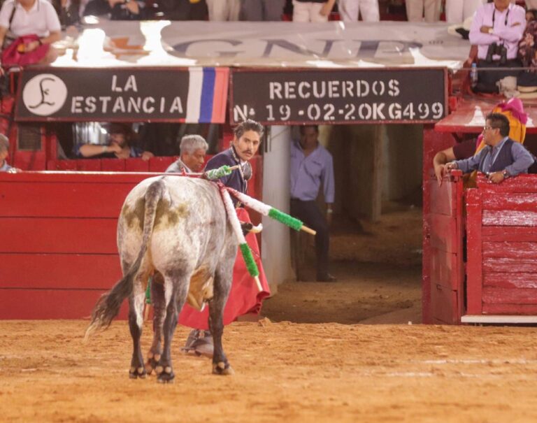 Emiliano Gamero : « Le triomphe n'est pas seulement le mien, mais celui du parti mexicain »