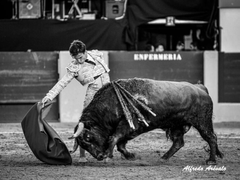Gonzalo Caballero et Las Rozas : plus qu'une fête caritative