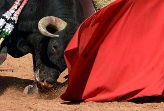 L'Association Tauromachie des Jeunes Estella-Lizarra dénonce le veto de l'Institut de la Jeunesse Navarro