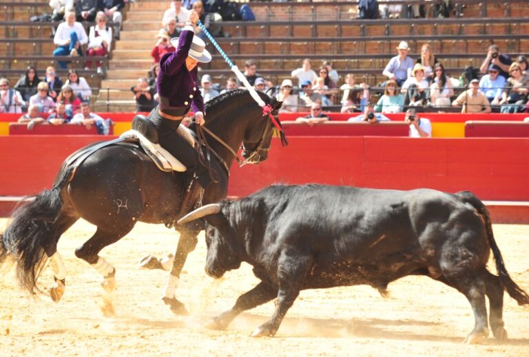 La classe de Galán, la course de Lea et la tauromachie de Guillermo Hermoso de Mendoza, à Valence