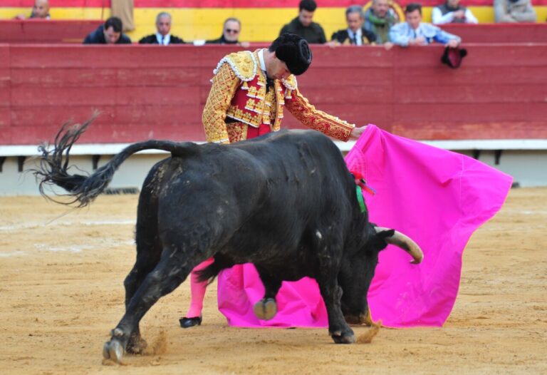 La coûteuse corrida de Pablo Aguado à Castellón (Vidéo)