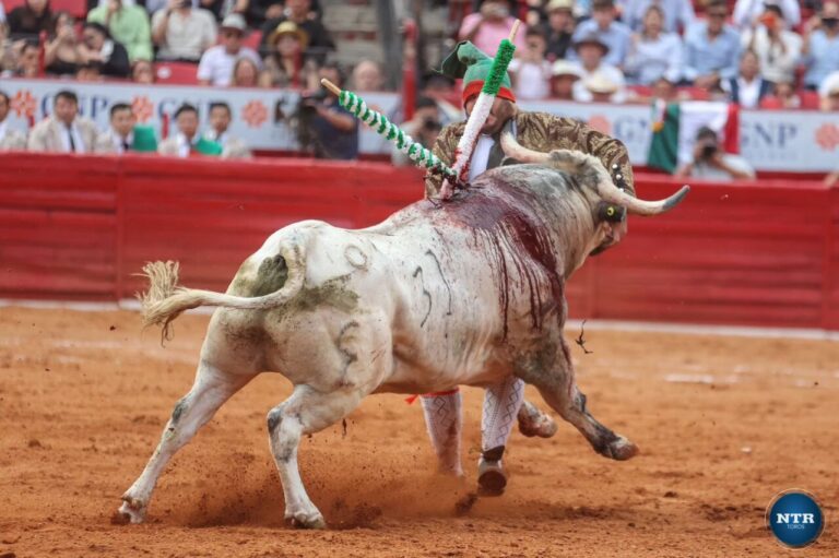 Le forcado Uriel Montes, encorné au cou à La México