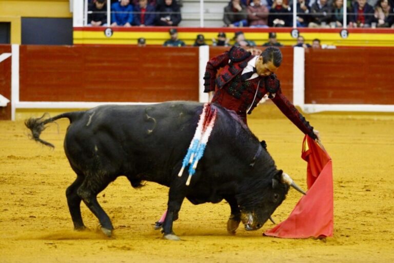Le goût et la corrida de Manzanares à Illescas, en vidéo