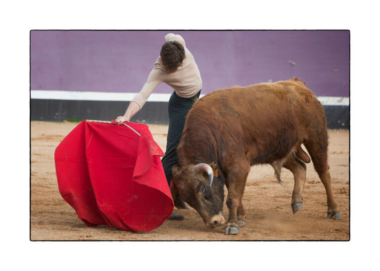 « Le muletazo que j'apprécie accroche le taureau très loin en avant »