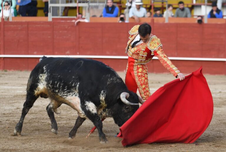 Oreille pour Thomas Joubert et retour sur le ring pour Diego García et Mario Sotos à Estremera