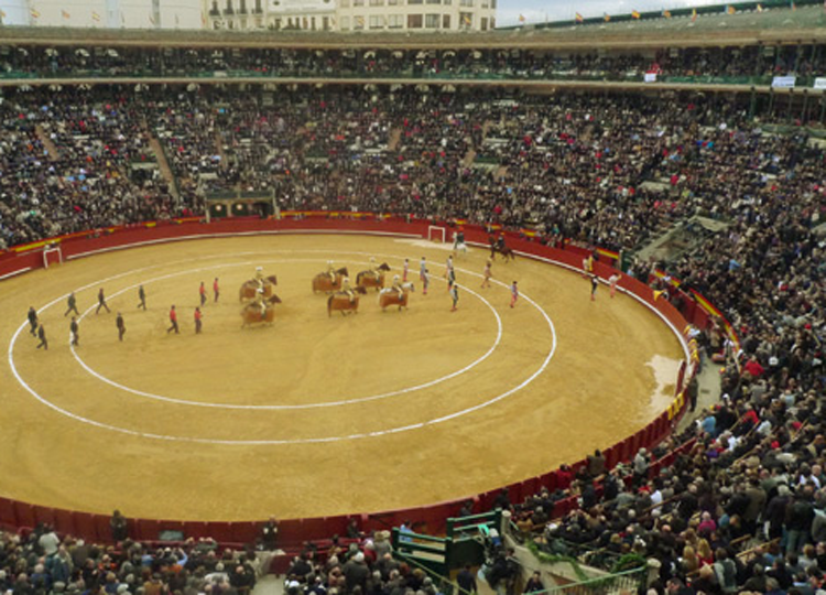 Première oreille de Fallas à la ténacité et à la capacité de Peñaranda (Direct: Valence)