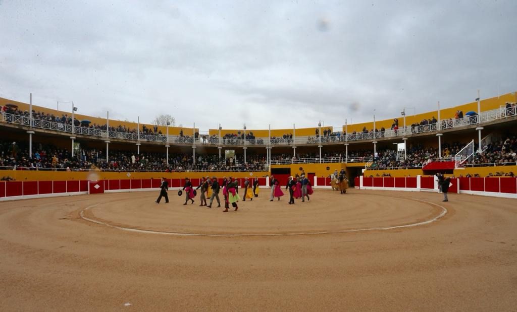 Ricla: huit oreilles et une garniture