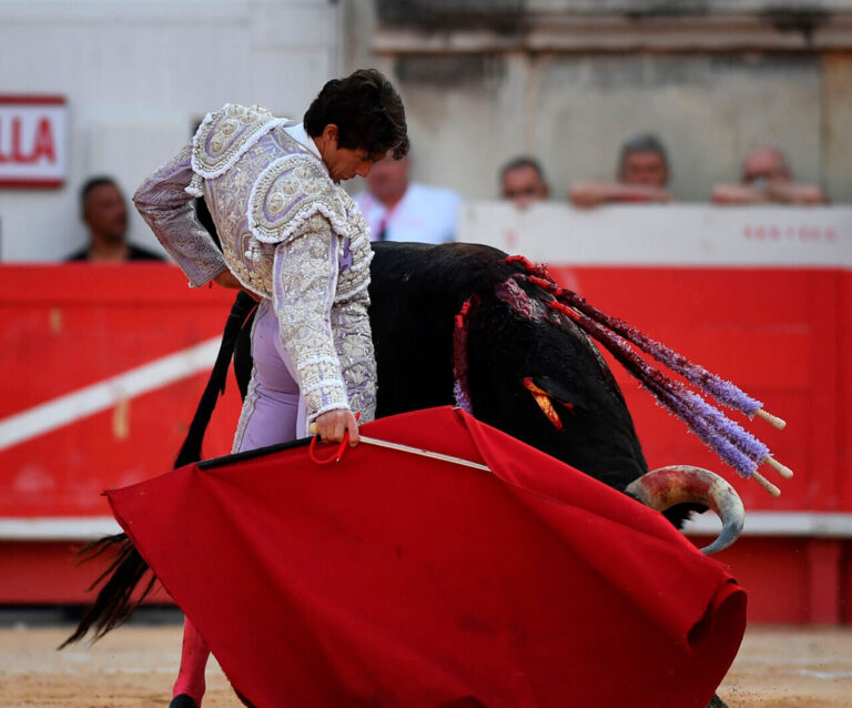 Sebastián Castella, pilier de la saison 2024 à Nîmes