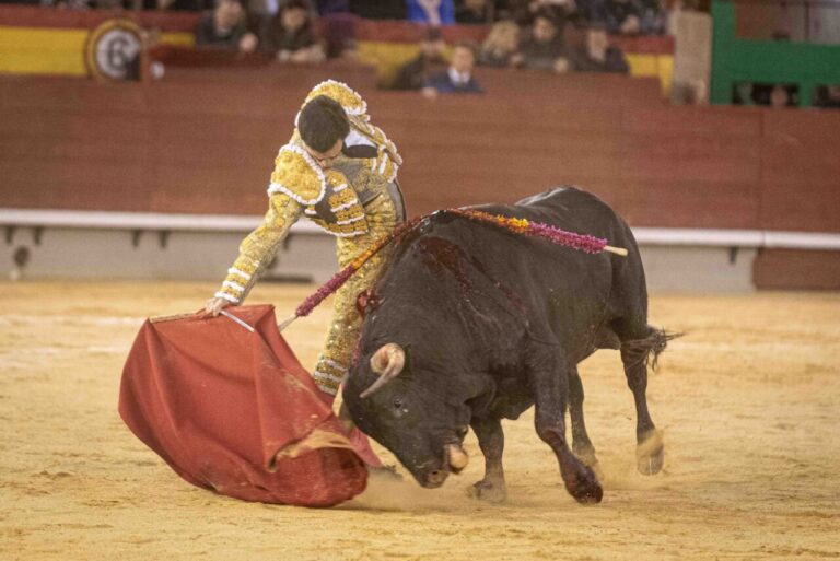 Tomás Rufo et Castellón : un duo à succès