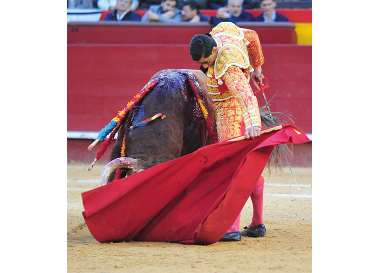Une tâche de Paco Ureña et de la Puerta Grande d'El Fandi dans le Montalvo mascletá