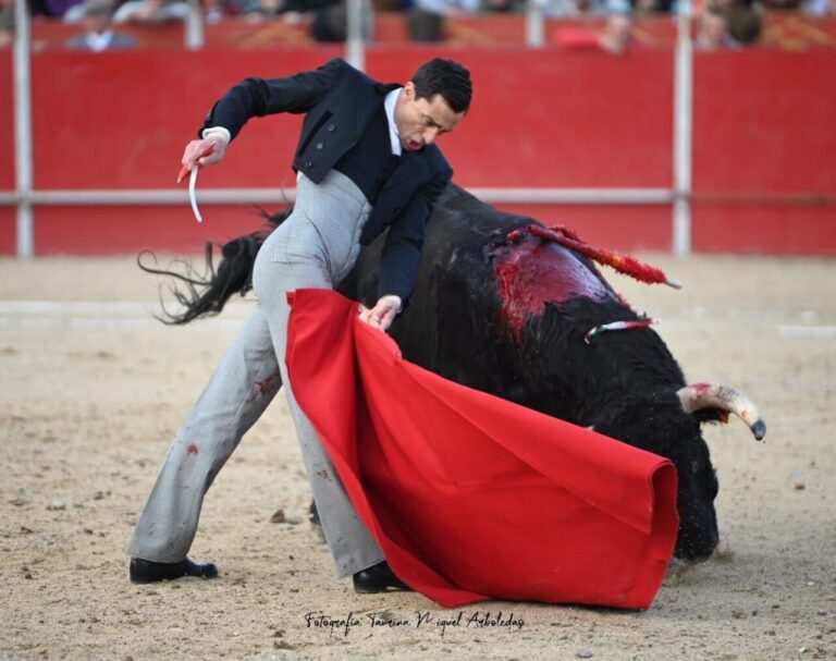 Ureña, Alejandro Mora et le torero Julio Méndez se démarquent à la fête de Coria (Plus de célébrations…)