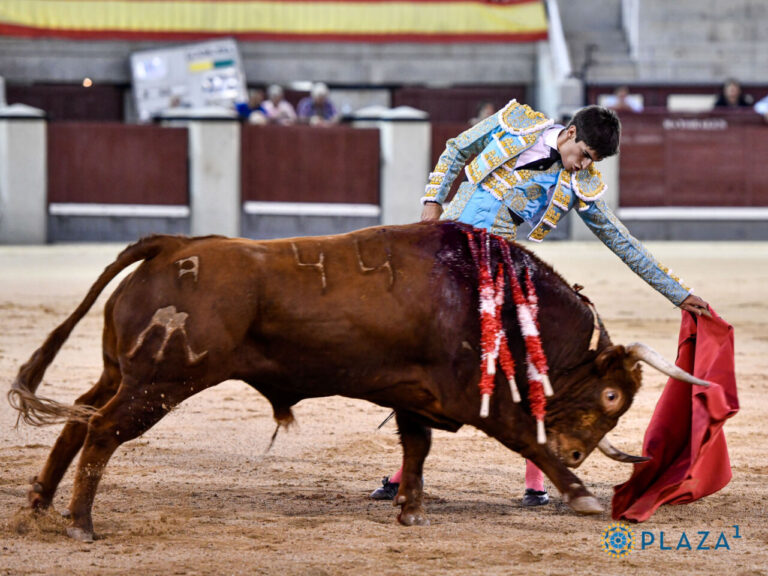 Jesús de la Calzada : Céret, une nouvelle étape du calendrier français avec une récompense en Espagne