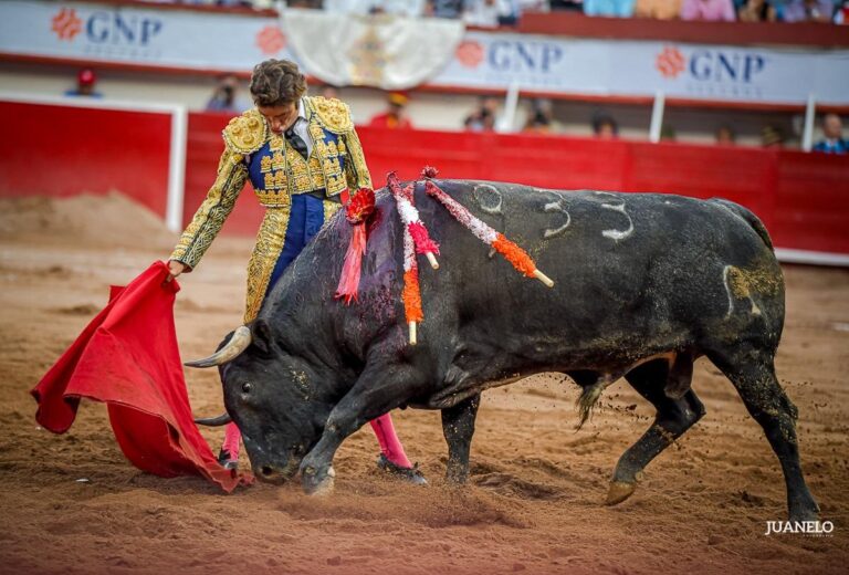 La solera de Fernando Robleño triomphe à San Marcos d'Aguascalientes
