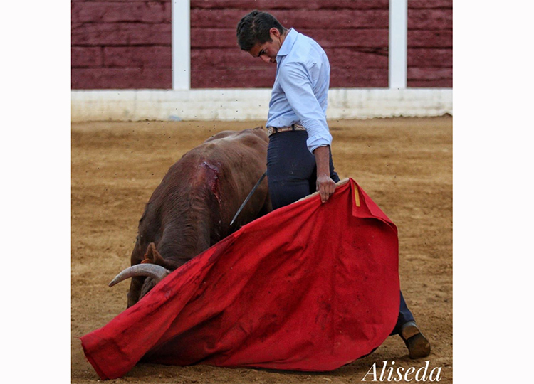 Nacho Torrejón : Toledo lance un torero avec son propre concept