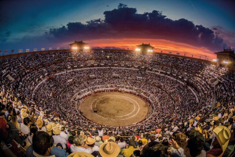 Aguascalientes fait une réforme profonde du règlement de corrida pour renforcer la corrida et donner confiance aux professionnels et aux fans