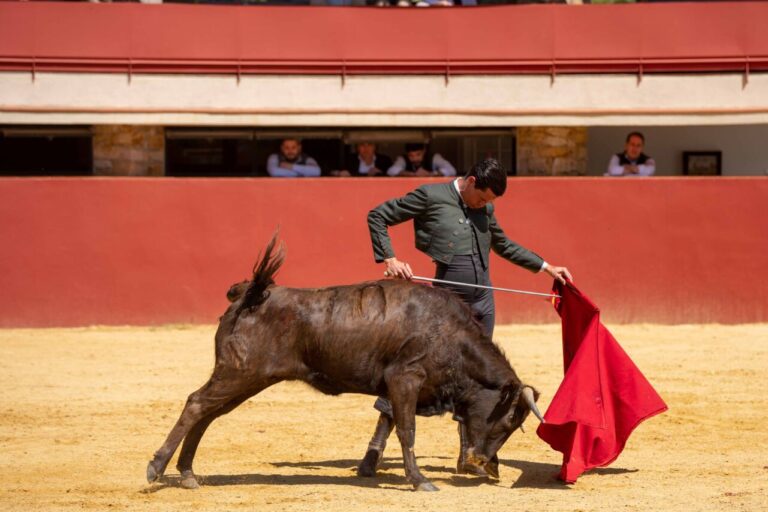 David Galván, avec ses vues sur Madrid et sa confirmation à Nîmes