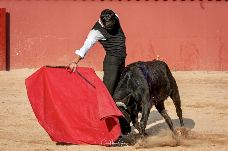 Diego García, maturité sur les terres du Portugal