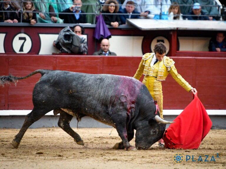 Fernando Robleño : « Je ne voudrais pas quitter la tauromachie sans tuer six taureaux à Madrid »
