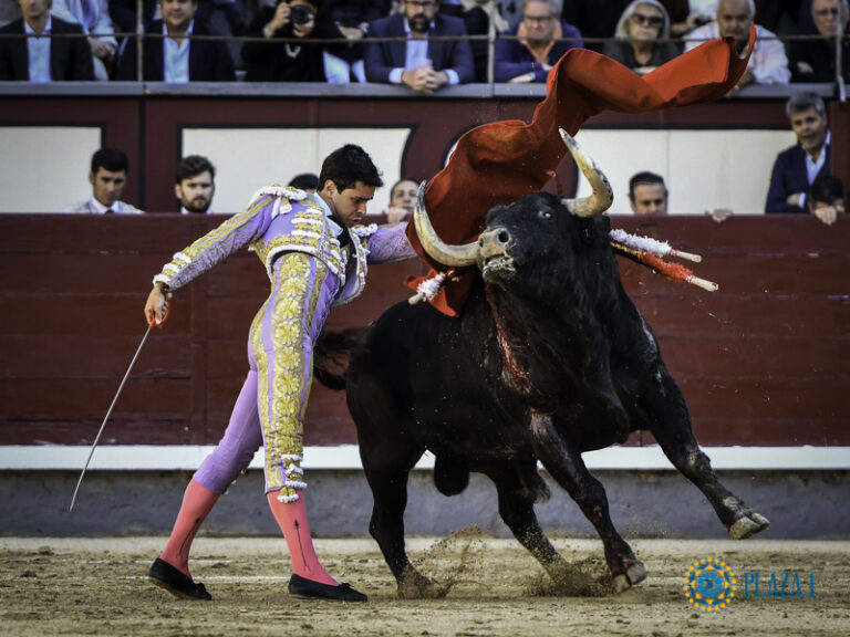 Juanito: « Je dois tout mon dévouement à Madrid »