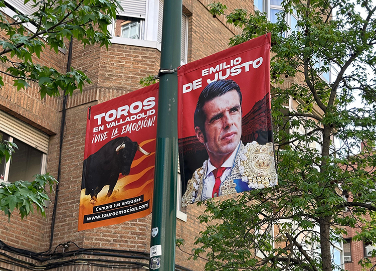La campagne « Les taureaux à leur place » inonde les rues de Valladolid