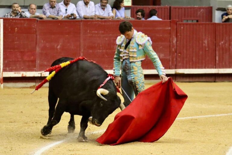 Luque, Guillermo Hermoso, De Justo et Juan Pedro Domecq, lauréats des « Prix Rafael Pedrosa »