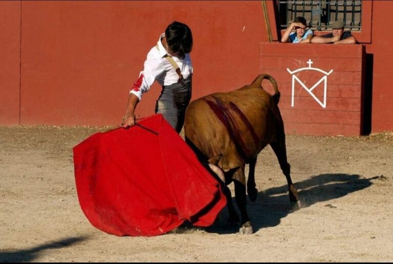 Núñez de Molina, le torero gitan qui débute avec les picadors à Cantillana