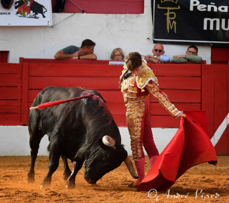 Oreille pour Cantón et Parejo d'une bonne corrida d'Ibán