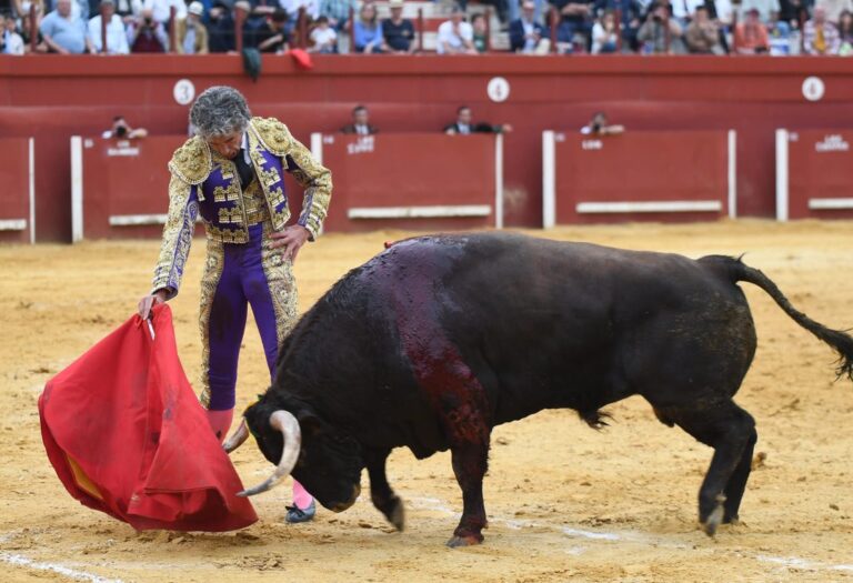 Oreille pour le goût de Rubén Sanz avec la salle Guadajira (Direct: Torres de la Alameda)