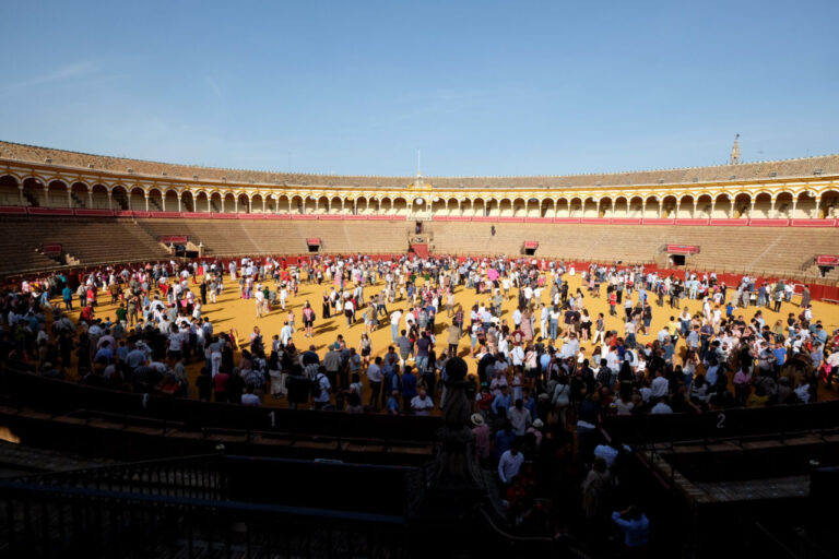 Plus de 5 000 personnes participent à la journée Portes Ouvertes dans les arènes de Séville