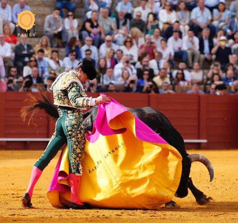 Silence pour Ruiz Muñoz au cinquième ;  Lama de Góngora, oreille après une tauromachie naturelle remarquable avec le quartier cassé (Direct: Séville)